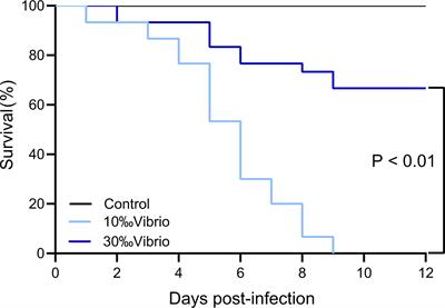 Synergistic Interaction of Low Salinity Stress With Vibrio Infection Causes Mass Mortalities in the Oyster by Inducing Host Microflora Imbalance and Immune Dysregulation